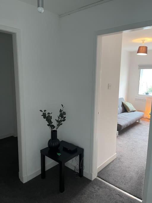 Modern 2 Bedroom City Apartment Glasgow Exteriér fotografie